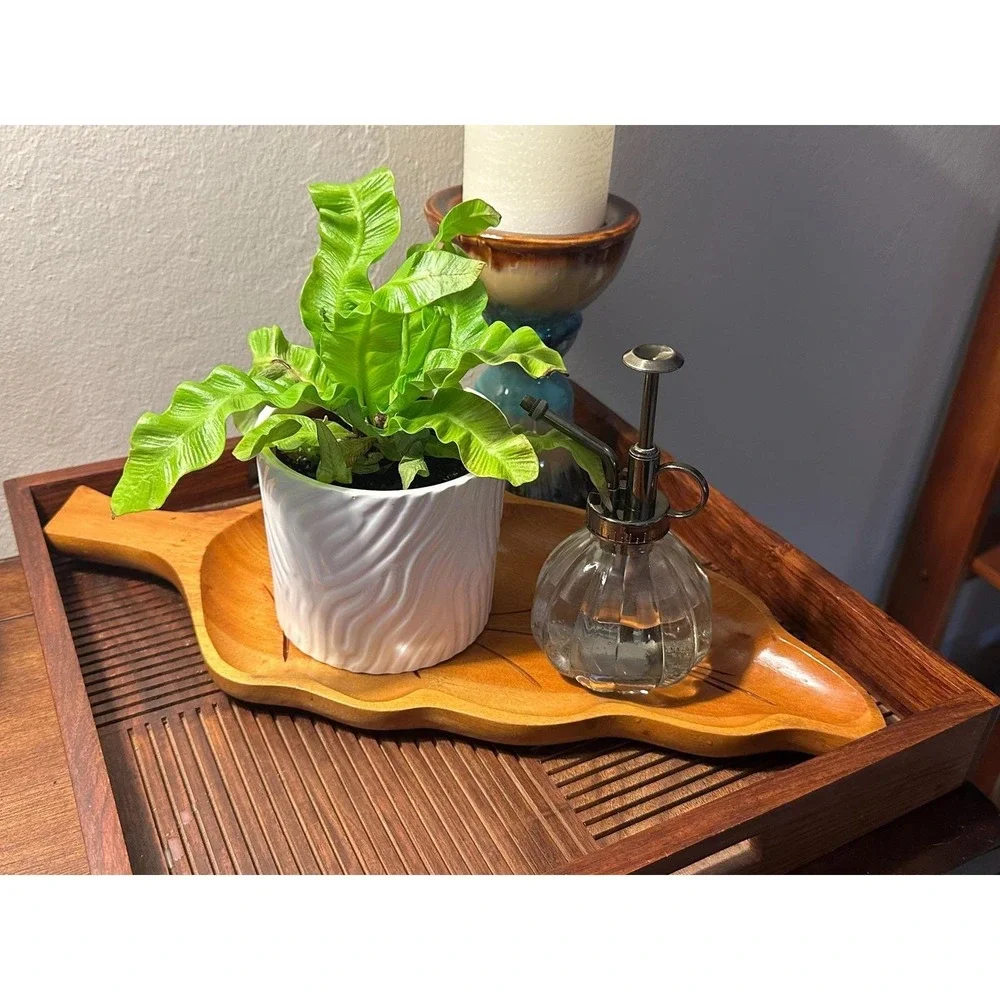 Vintage Hand Carved Wooden Leaf Bowl MCM Rustic Organic Serving Display Decor